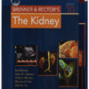 Brenner and Rector's The Kidney (2-VOL SET)