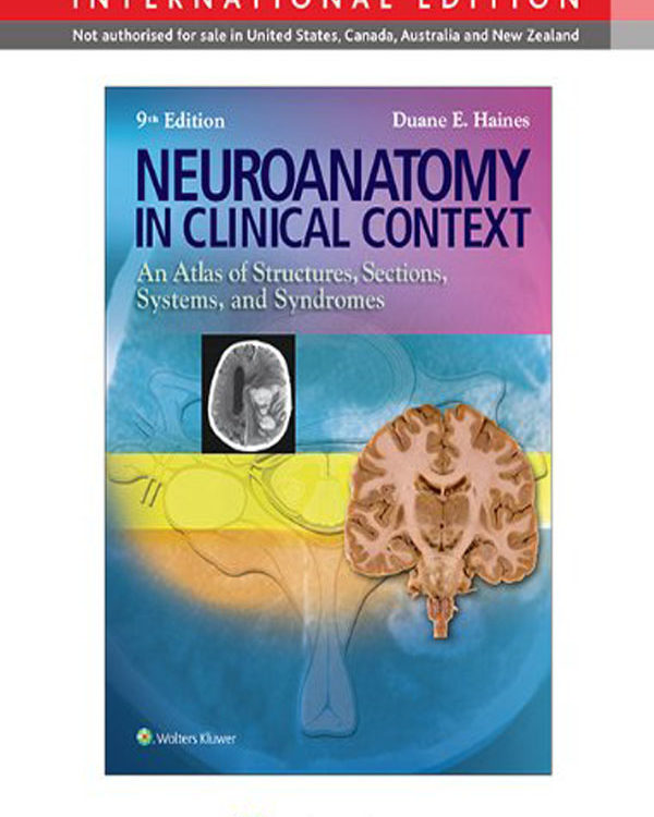 Neuroanatomy in Clinical Context