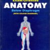 Exam Oriented Anatomy Below Diaphragm: Questions & Answers