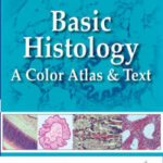 Basic Histology: A Color Atlas and Text