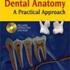 TEXTBOOK OF DENTAL ANATOMY A PRATICAL APPROACH WITH DVD-ROM