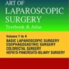 Art of Laparoscopic Surgery Textbook & Atlas (4 Volumes)