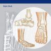 Handbook of Foot and Ankle Orthopedics