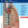 Thieme Dissector Upper Limb and Thorax Volume 1 2nd Ed.