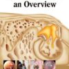 OTOLOGY AN OVERVIEW