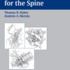 Surgical Techniques for the Spine 1st Edition 2003