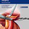 Robotic Head and Neck Surgery The Essential Guide 1st Edition 2016