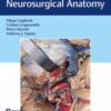 Operative Cranial Neurosurgical Anatomy 1st Edition 2018