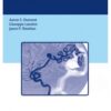 Brain Arteriovenous Malformations and Arteriovenous Fistulas 1st Edition 2017