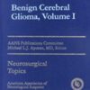 Benign Cerebral Gliomas Volume I 1st Edition 1995