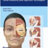 Dermal Fillers : Facial Anatomy and Injection Techniques 1st Edition 2020