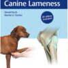 Diagnosis of Canine Lameness 1st Edition 2020