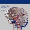 Neurovascular Surgery 2nd Edition 2015