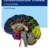 Imaging of Cerebrovascular Disease A Practical Guide 1st Edition 2016