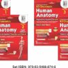 BD Chaurasia’s Human Anatomy, 10th , Volumes 1– 4 with free Workbooks