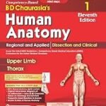Competency–Based BD Chaurasia’s Human Anatomy: Regional and Applied; Dissection and Clinical (Vol. 1) 11th edition 2027